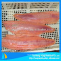 High quality fresh salmon whole